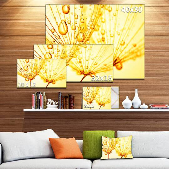Designart - Dandelion Seeds with Water Drops - Floral Canvas Art Print